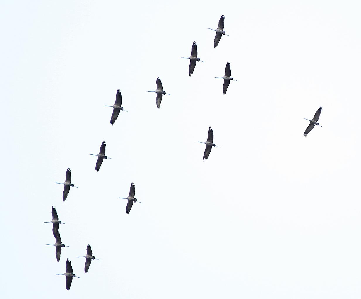 Image related to the post