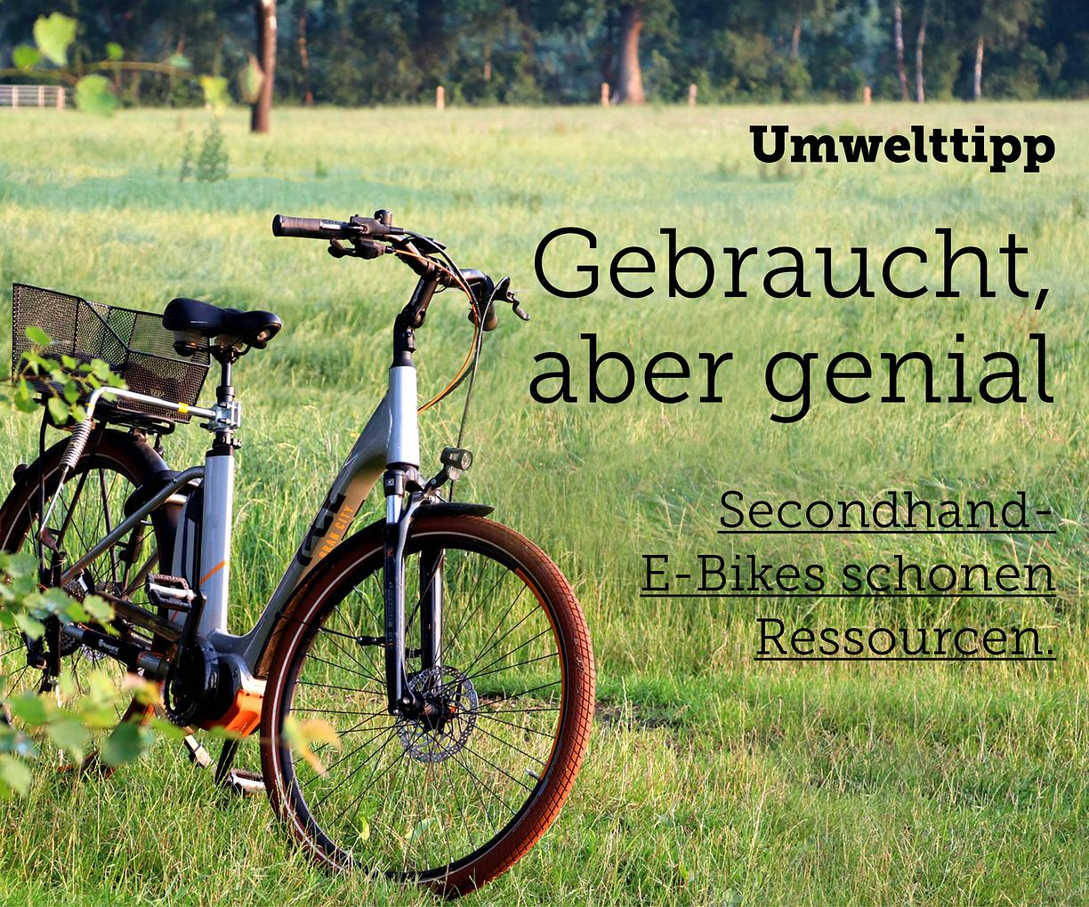 Bild im Zusammenhang mit dem Beitrag