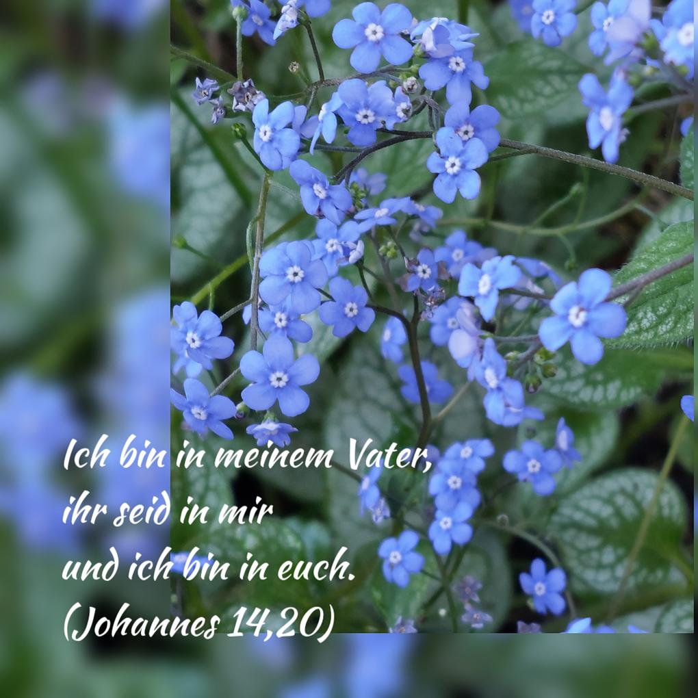 Collagebild 1