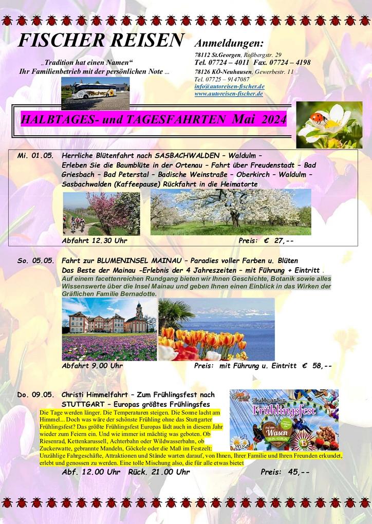 Collage image 1