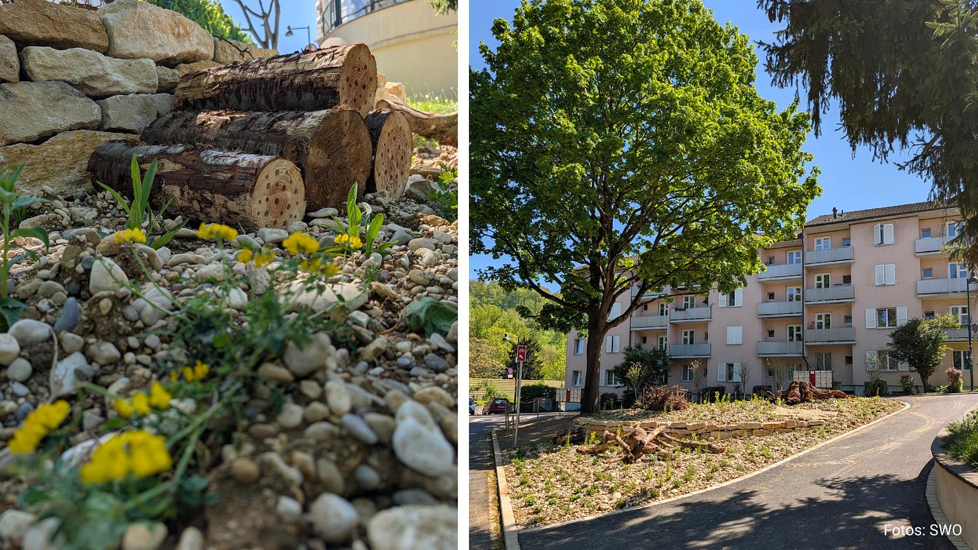 Collagebild 1