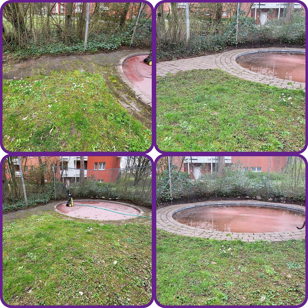 Collage image 1