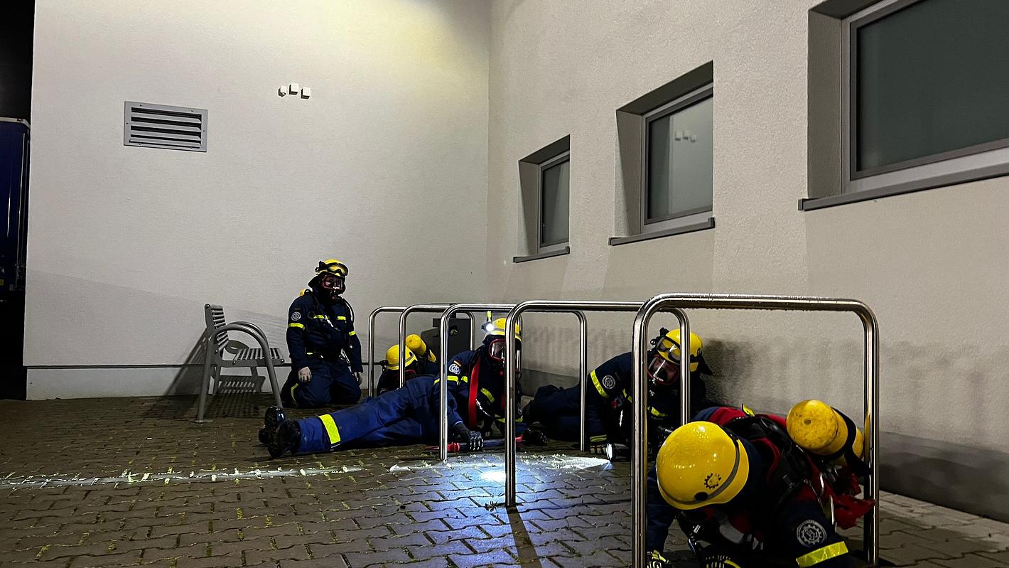 Bild im Zusammenhang mit dem Beitrag