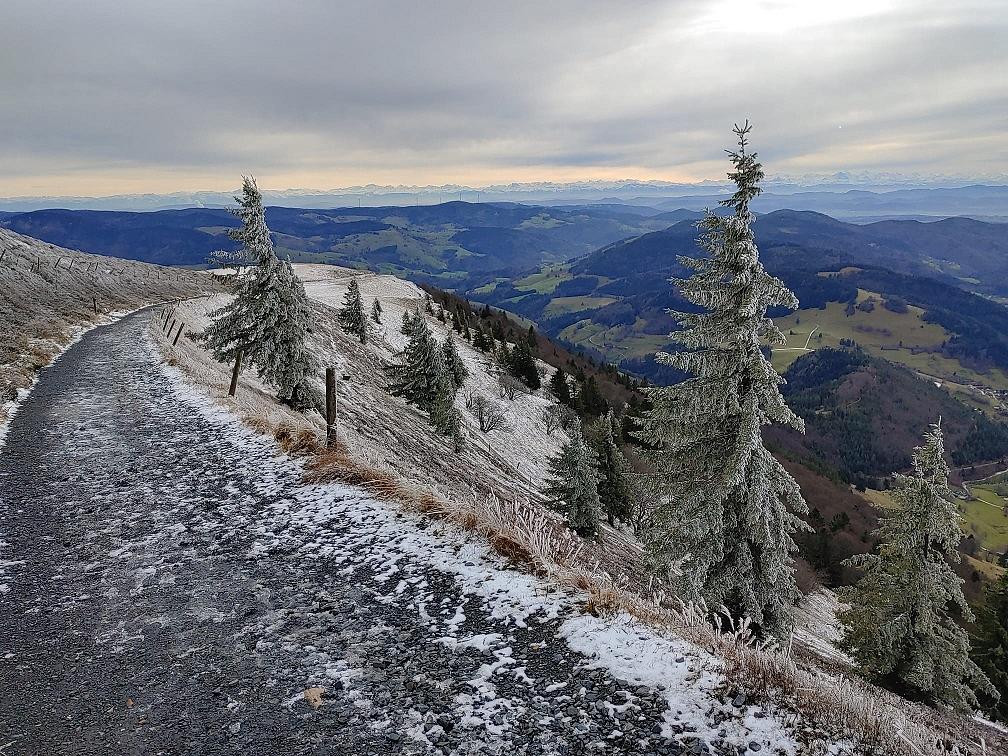 Bild im Zusammenhang mit dem Beitrag