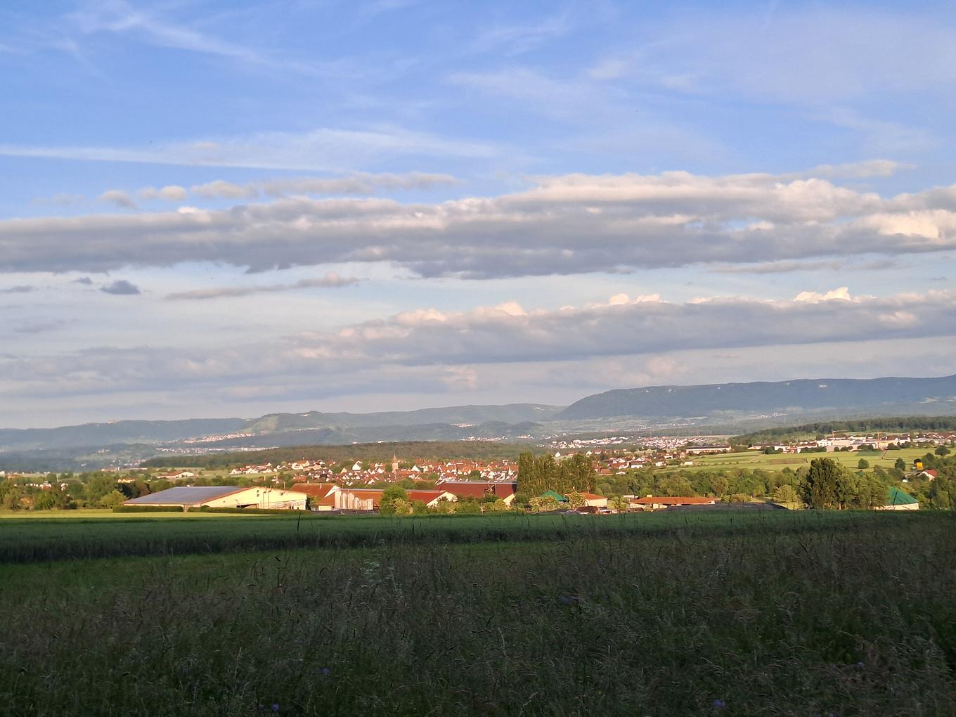 Collagebild 1
