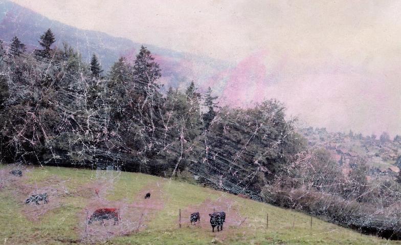 Collagebild 1