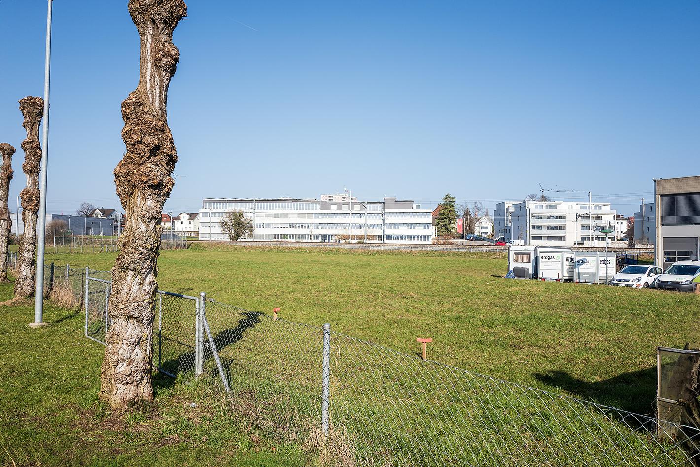 Bild im Zusammenhang mit dem Beitrag