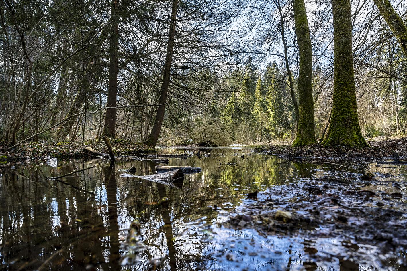 Bild im Zusammenhang mit dem Beitrag