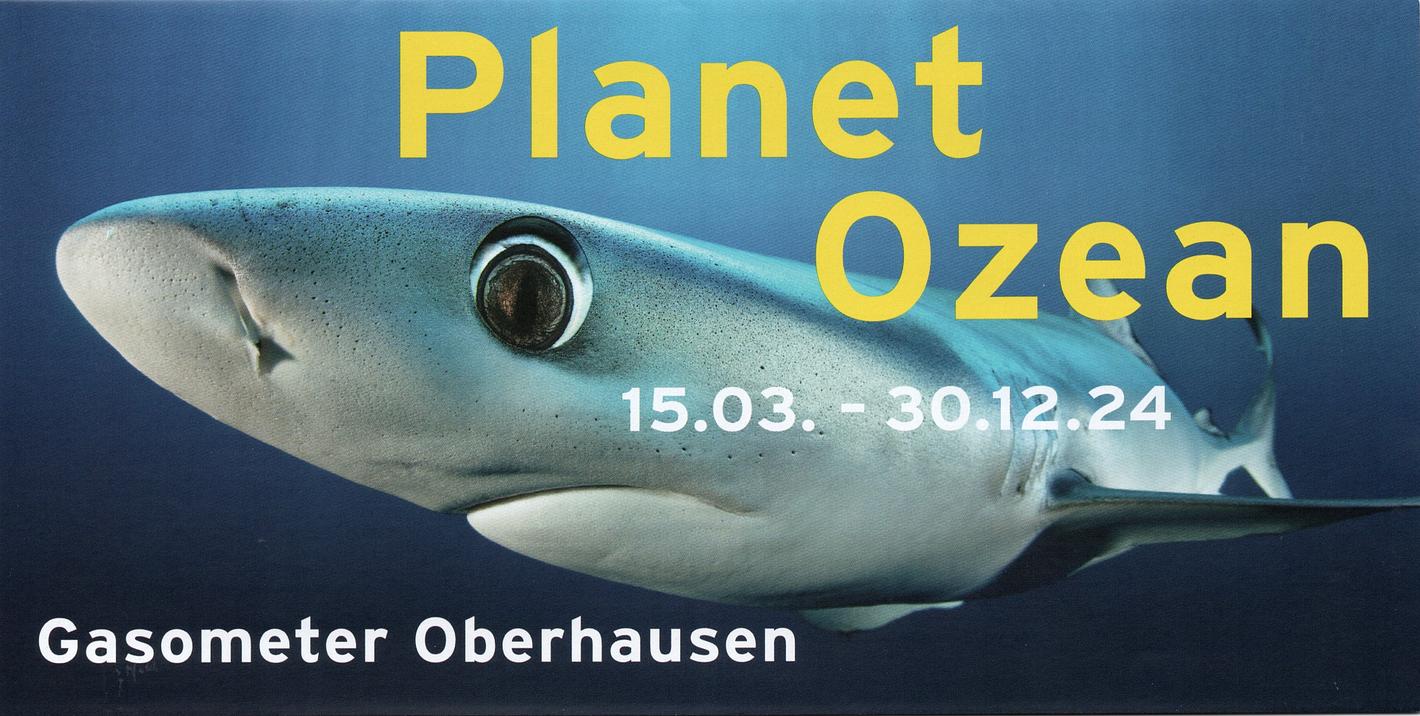 Bild im Zusammenhang mit dem Beitrag