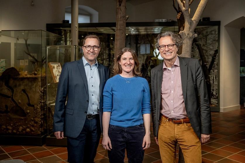 Bild im Zusammenhang mit dem Beitrag