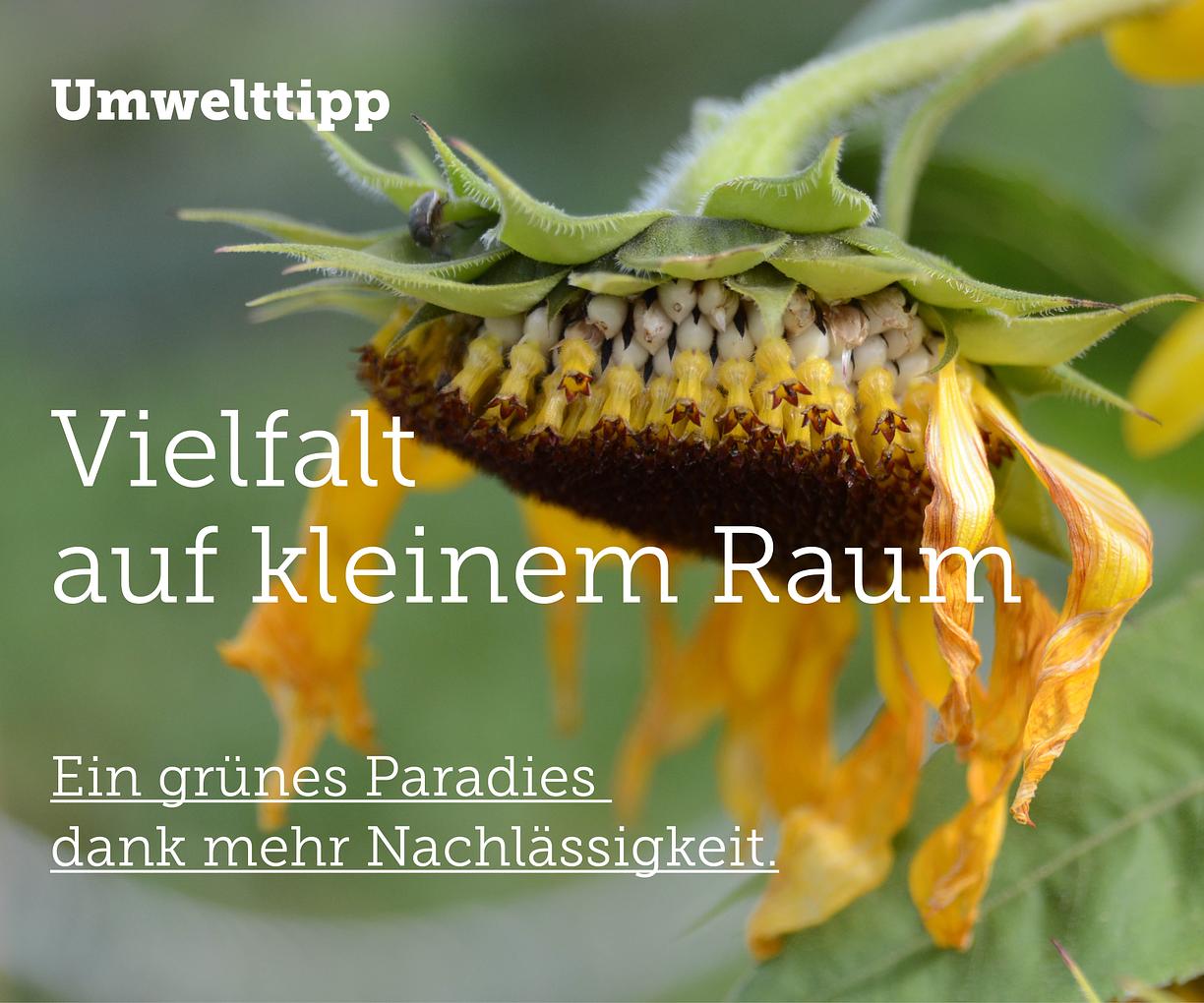 Collagebild 1