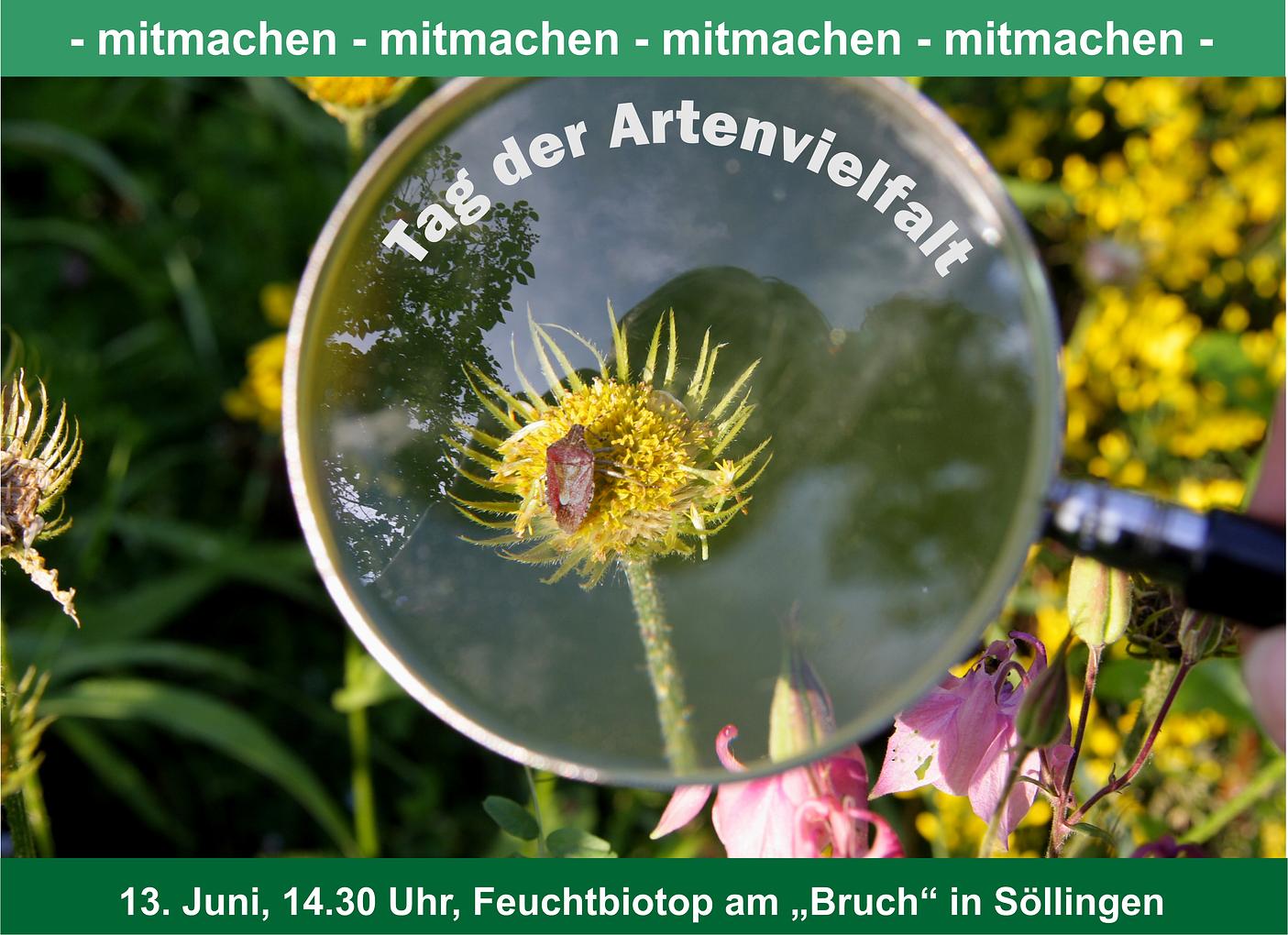 Collagebild 1