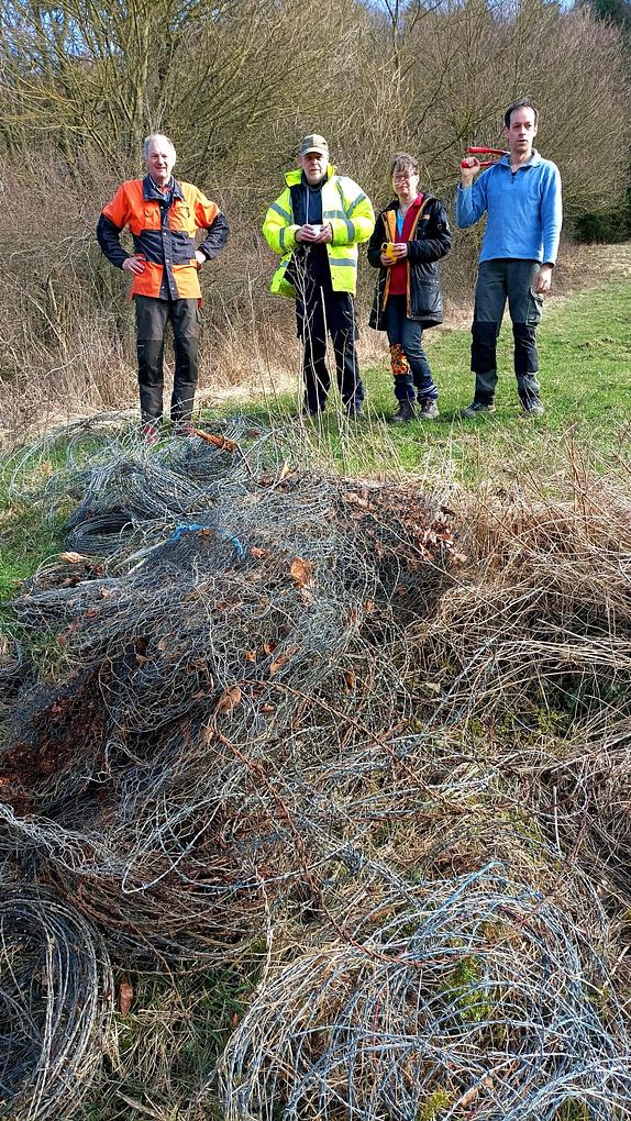 Bild im Zusammenhang mit dem Beitrag