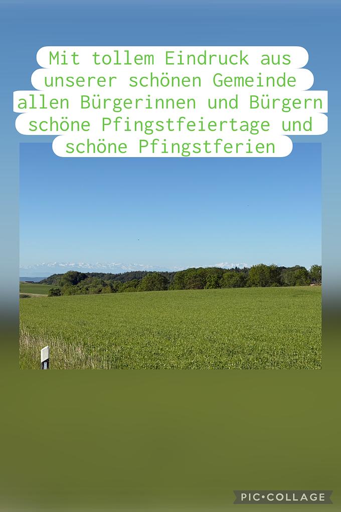 Collagebild 1