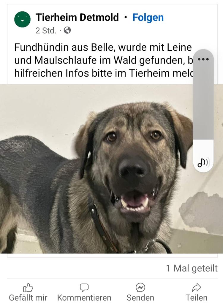 Bild im Zusammenhang mit dem Beitrag