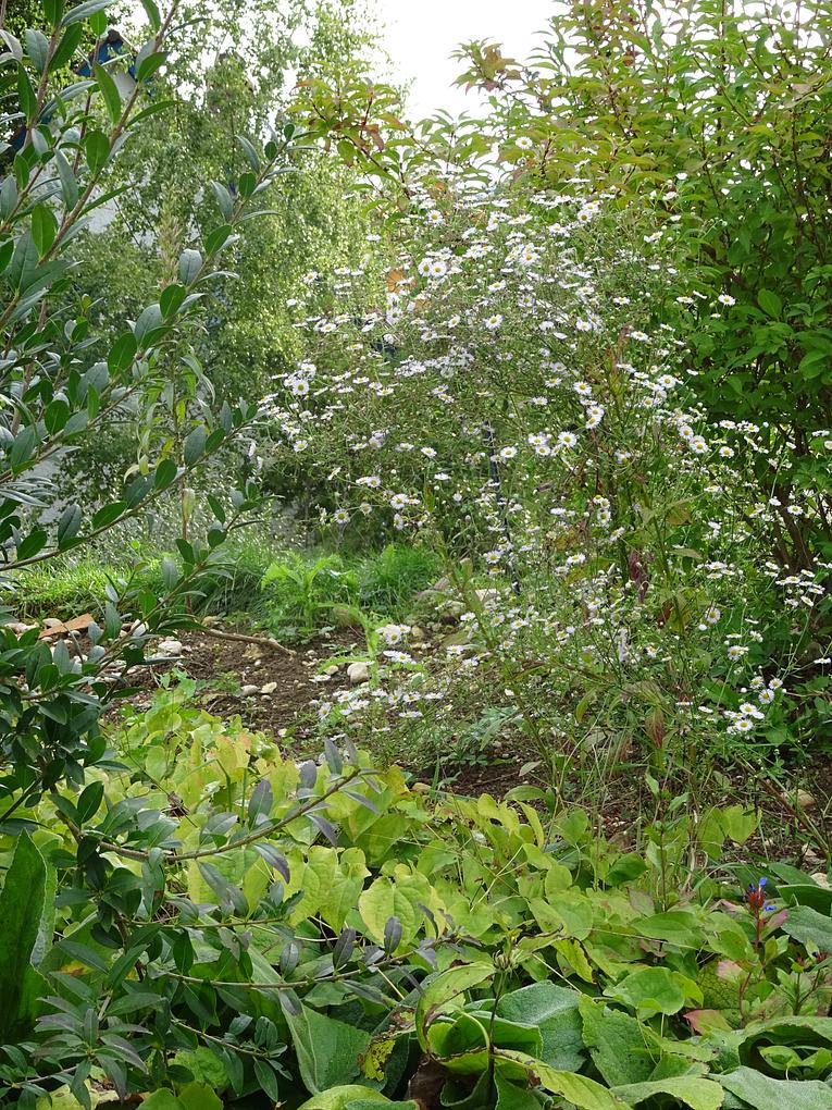Collagebild 1