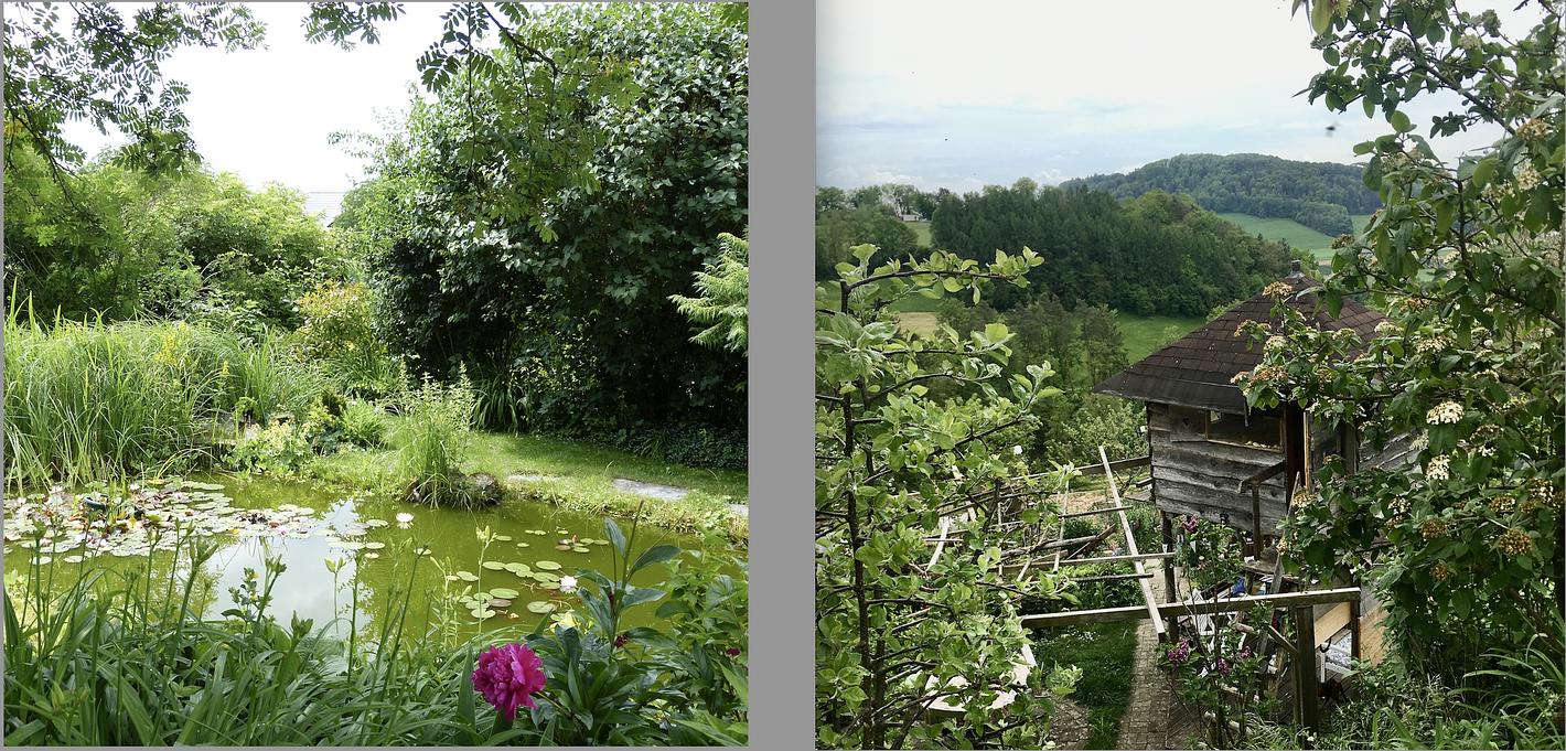Collagebild 1