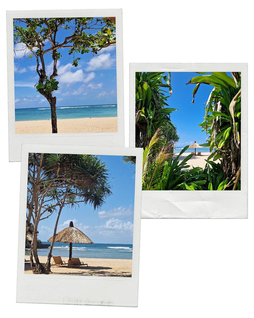 Collagebild 1