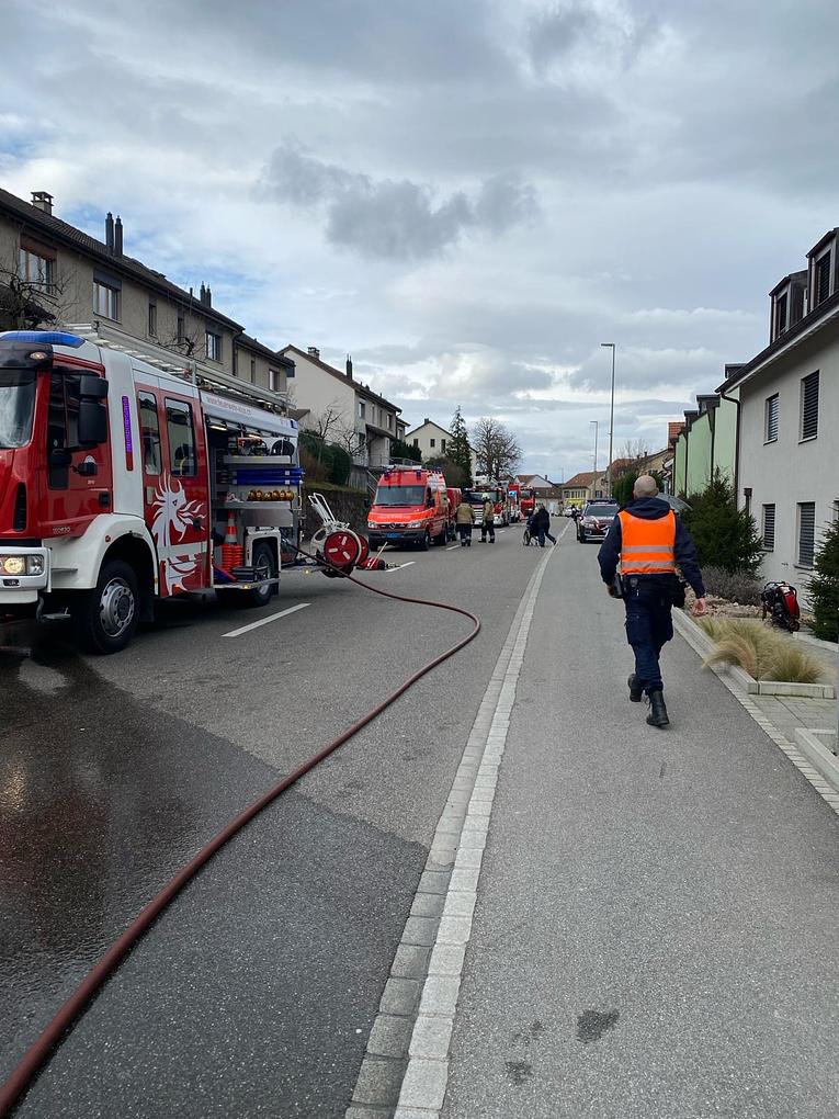 Bild im Zusammenhang mit dem Beitrag