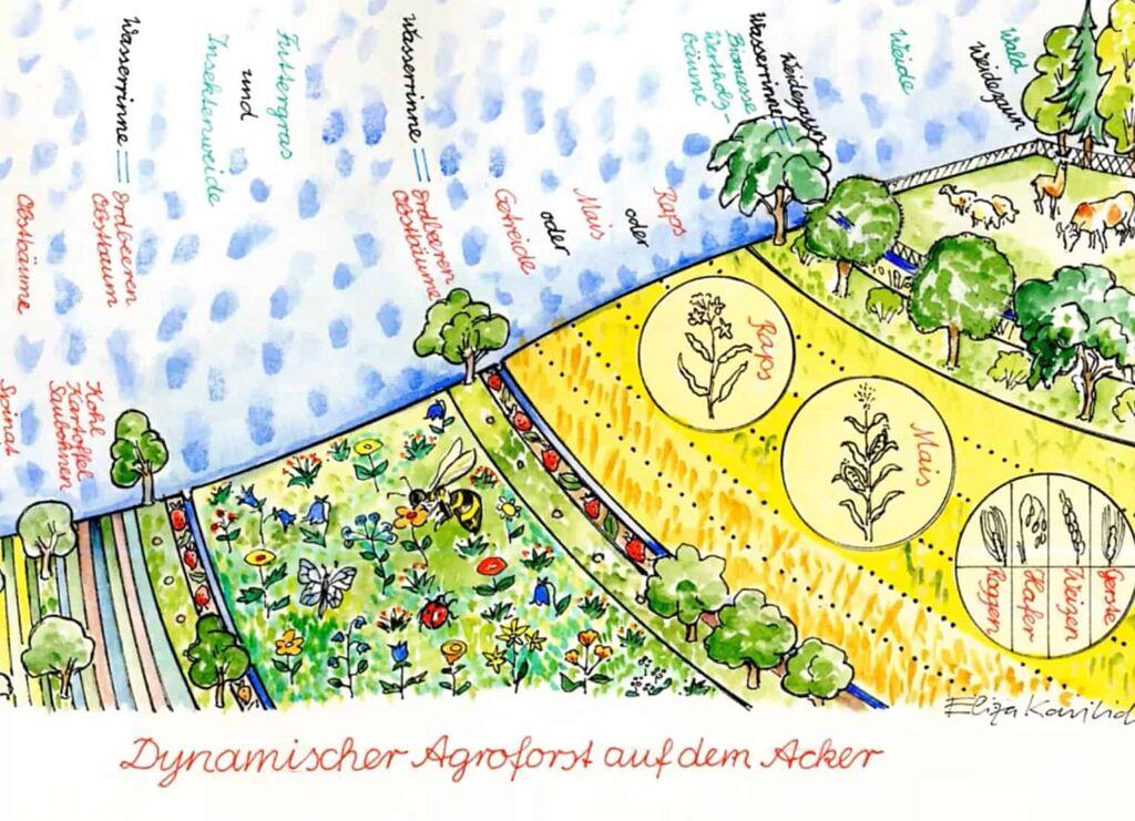 Collagebild 1