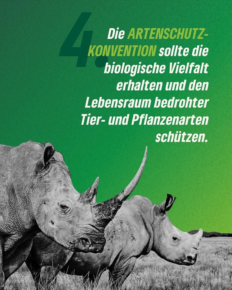 Collagebild 7