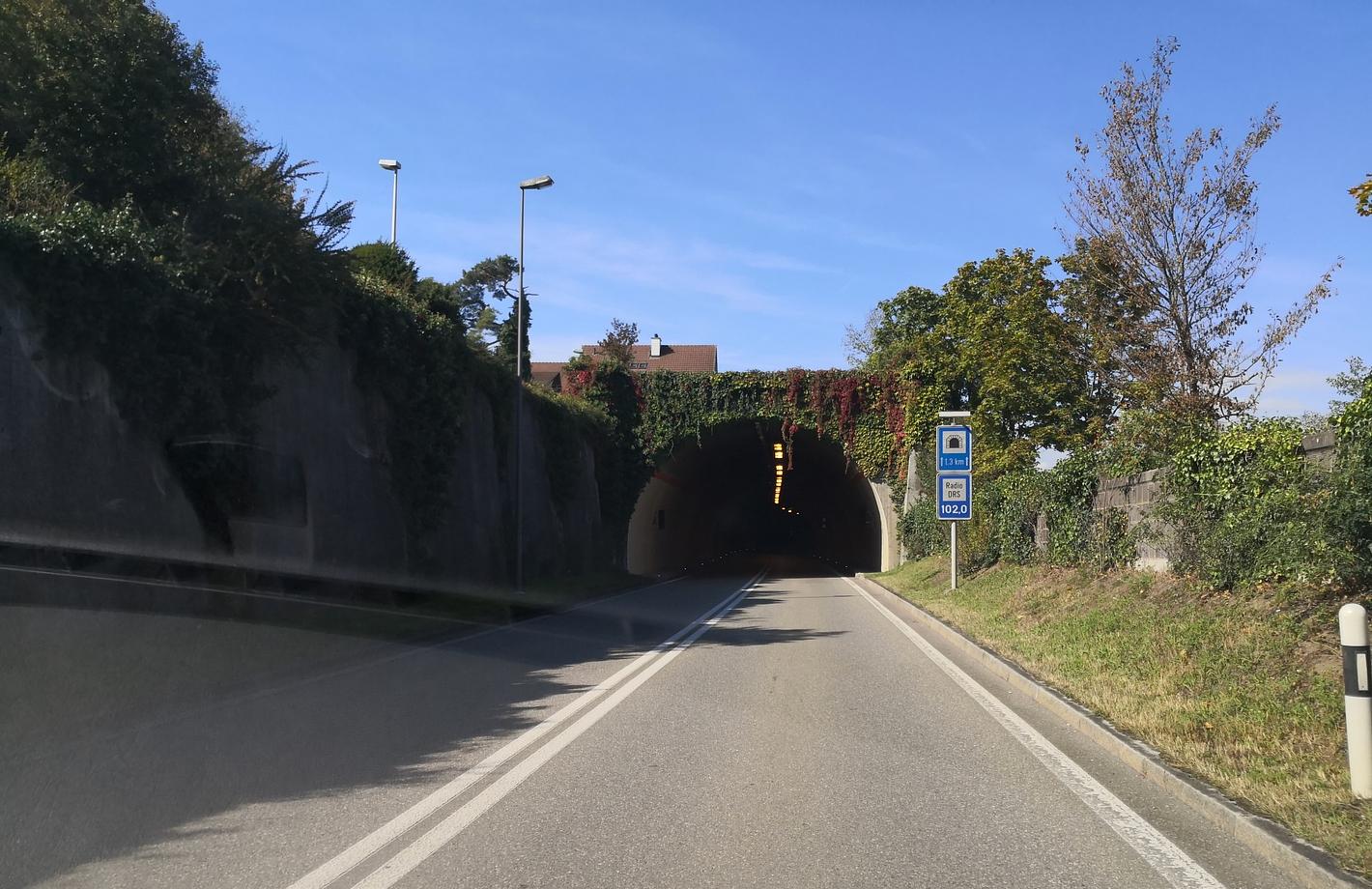 Bild im Zusammenhang mit dem Beitrag