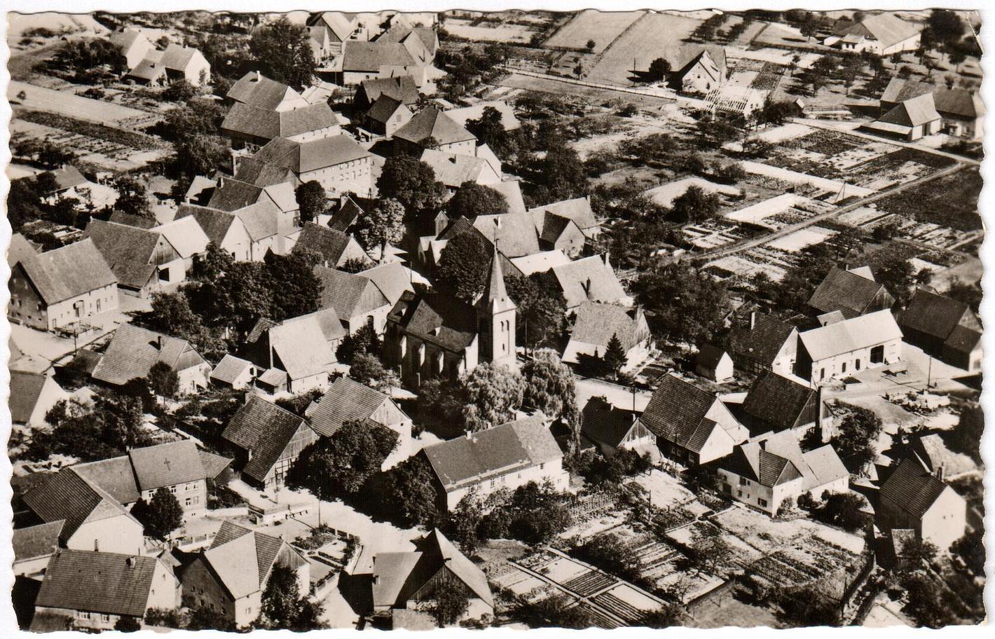 Collage image 1
