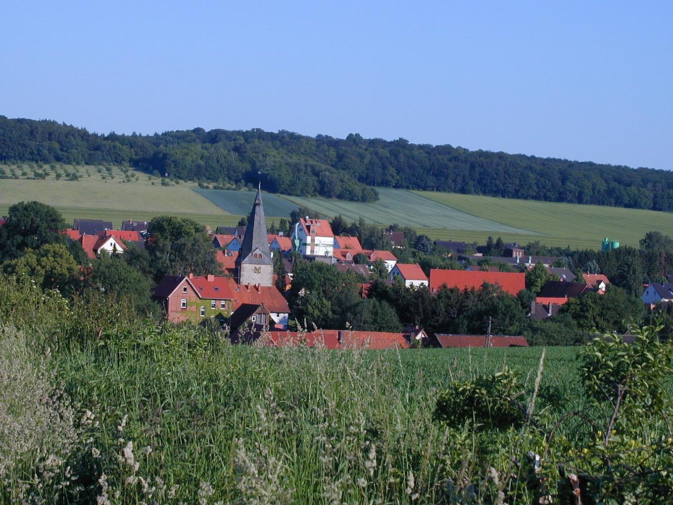 Bild im Zusammenhang mit dem Beitrag