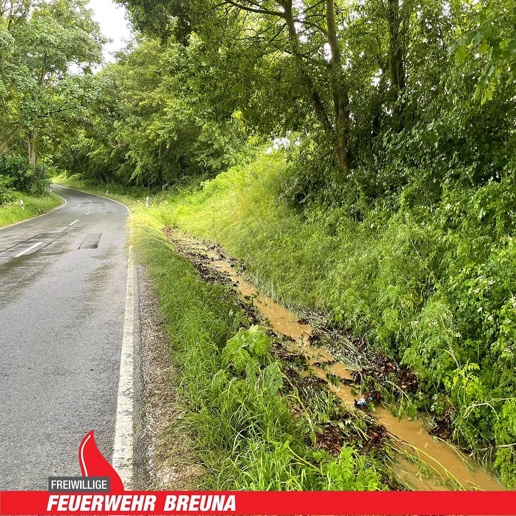 Collage image 2