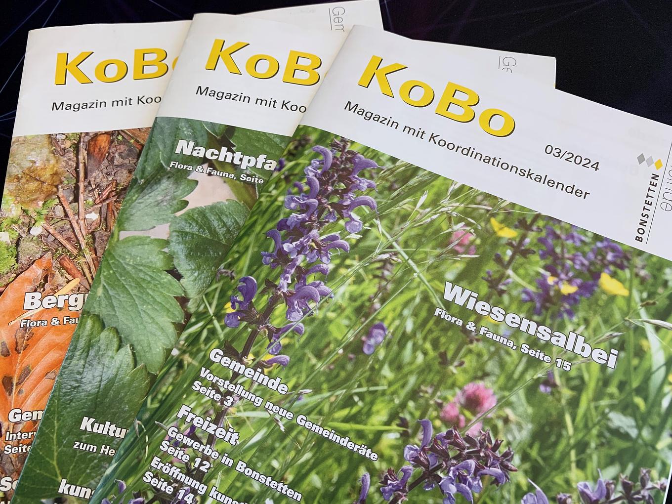 Bild im Zusammenhang mit dem Beitrag