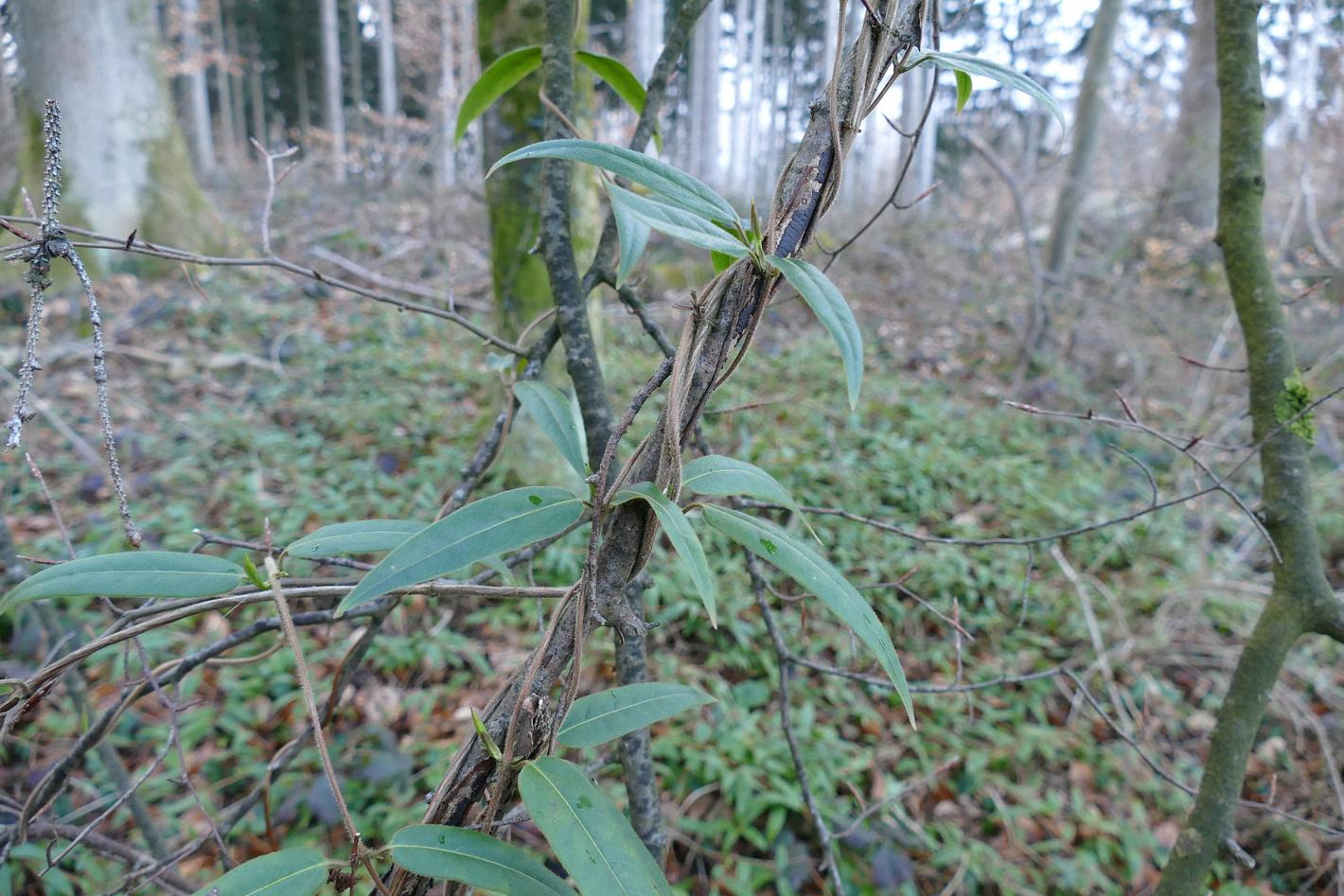 Bild im Zusammenhang mit dem Beitrag