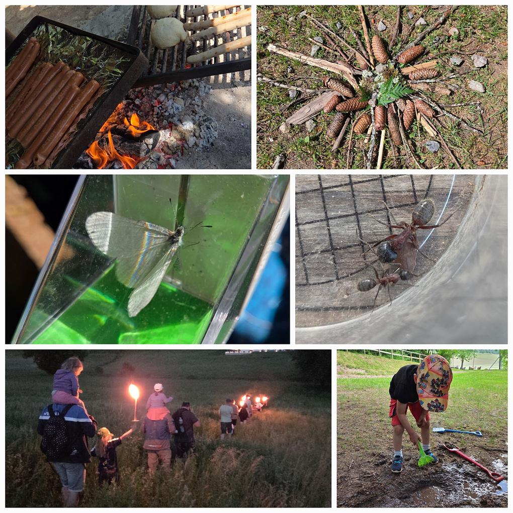 Collagebild 1