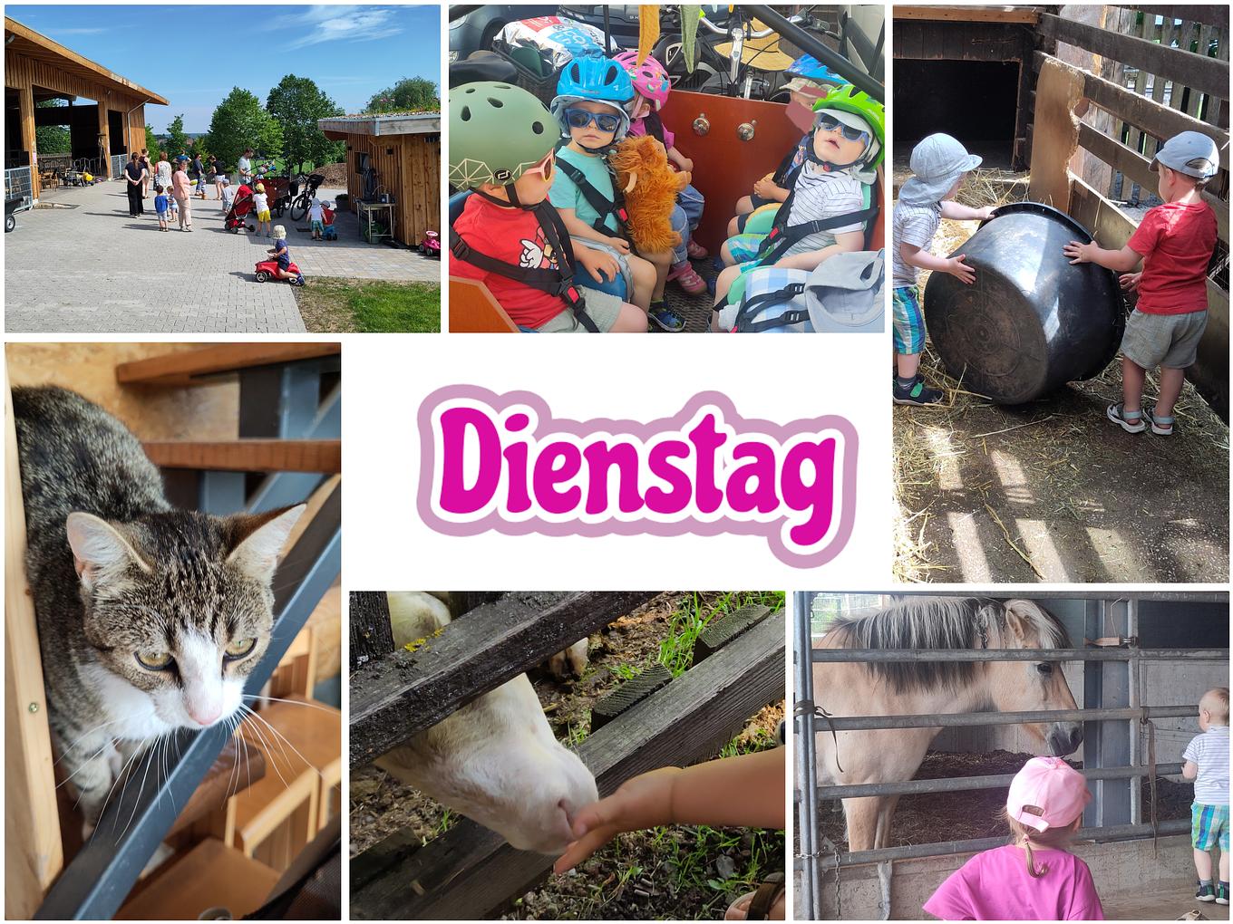 Collagebild 2