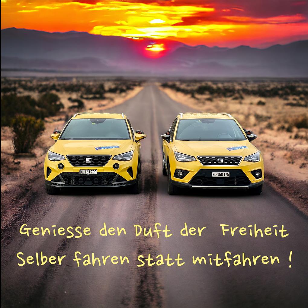 Collagebild 1