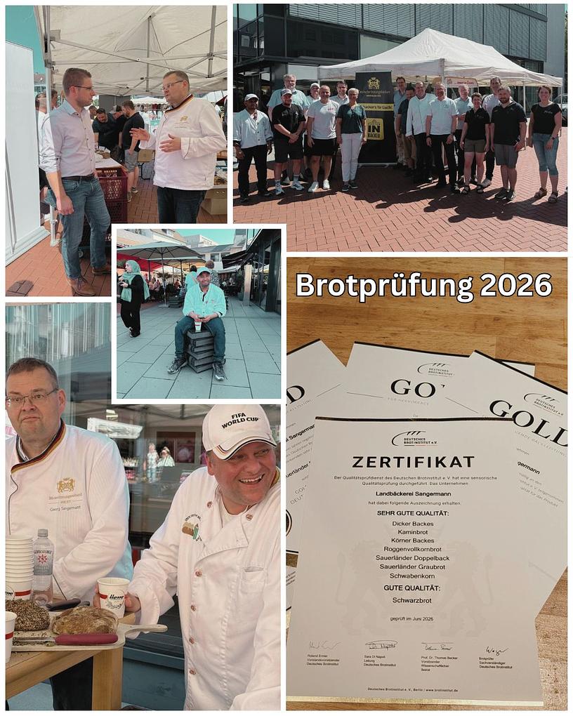 Collagebild 1