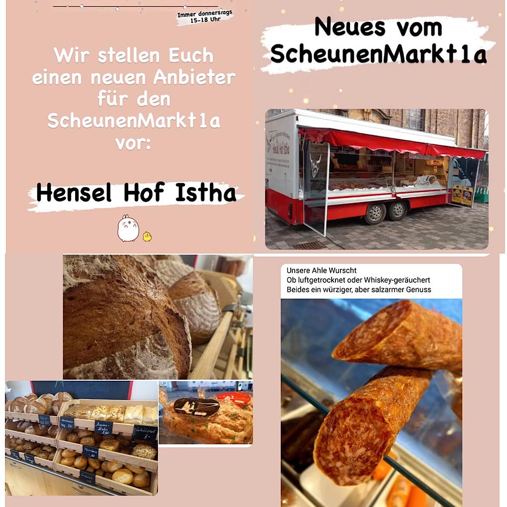 Bild im Zusammenhang mit dem Beitrag