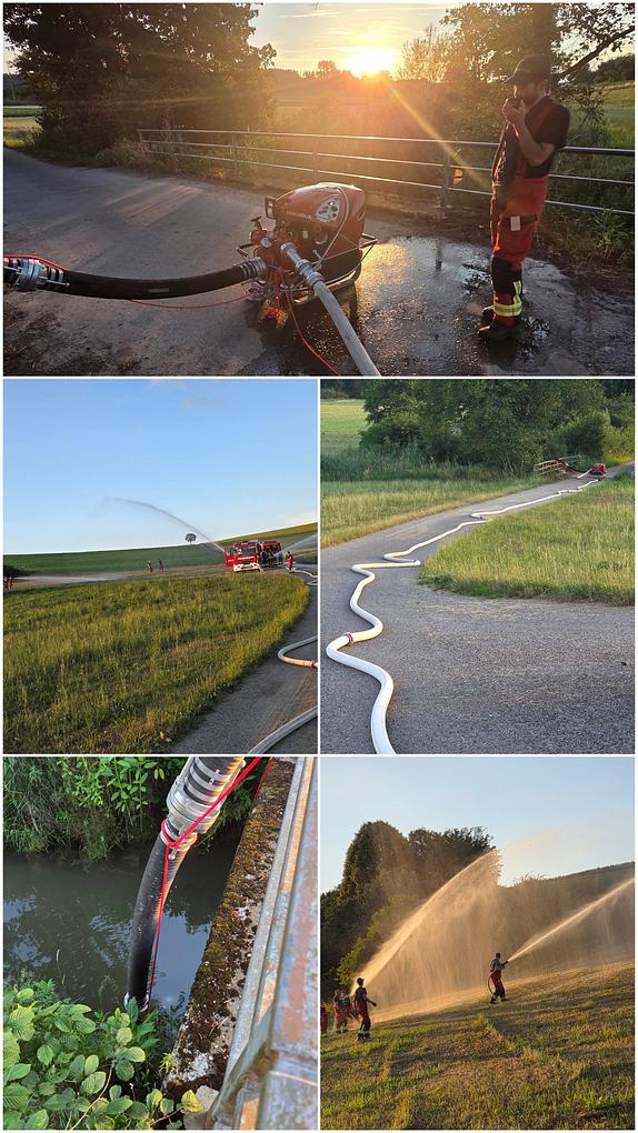 Collagebild 1