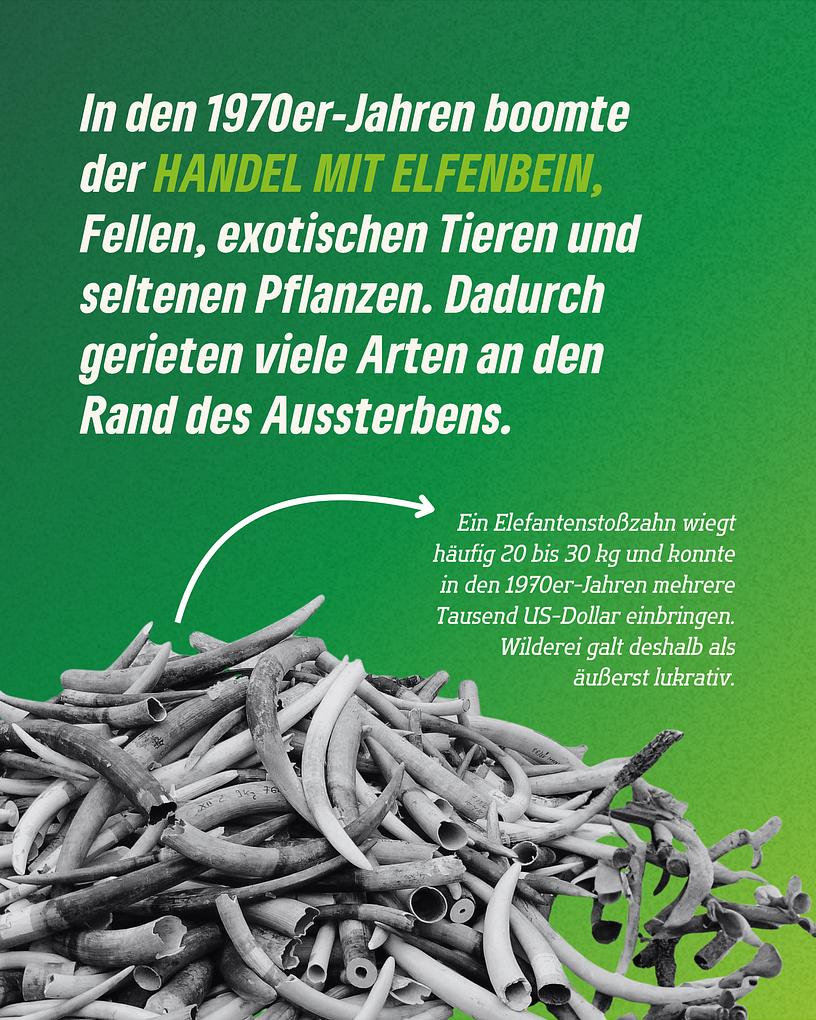 Collagebild 2