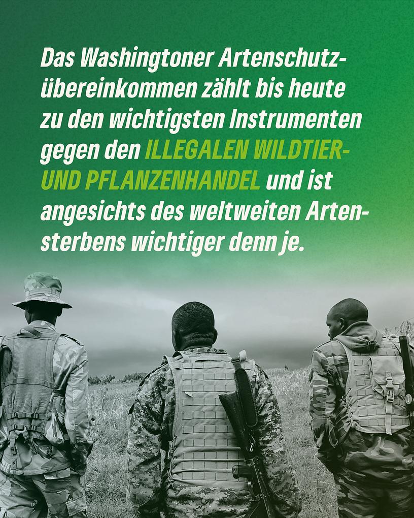 Collagebild 6
