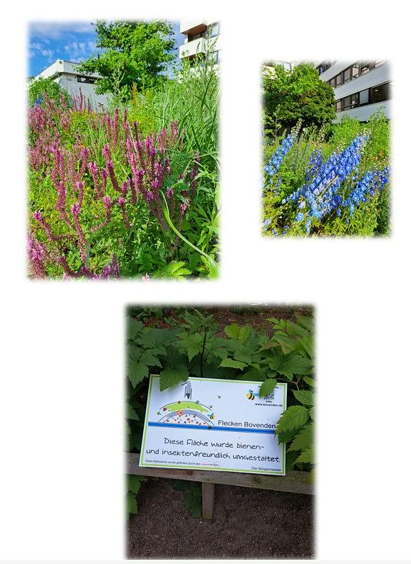 Collagebild 1