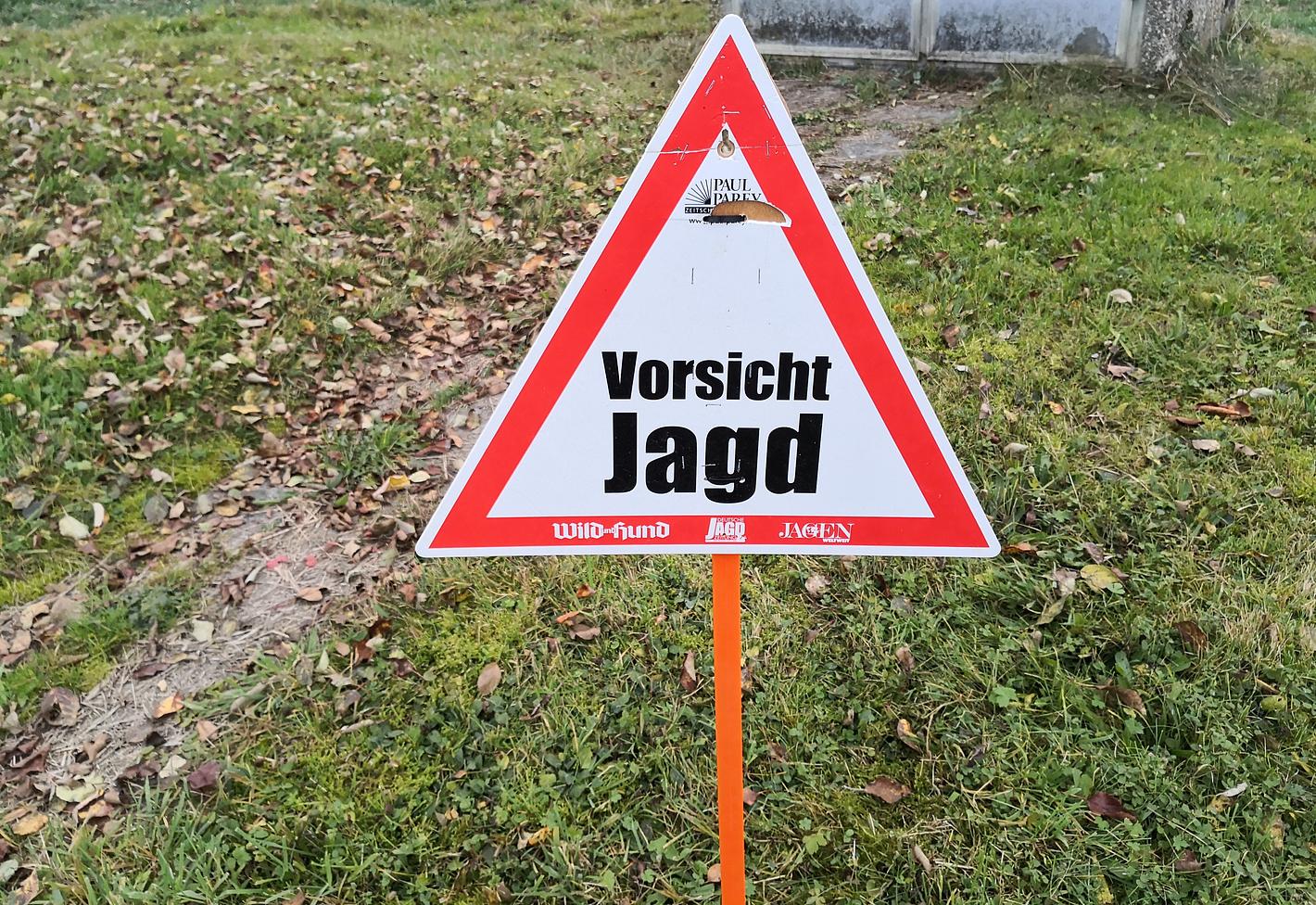 Bild im Zusammenhang mit dem Beitrag