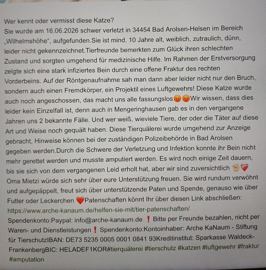 Collagebild 2
