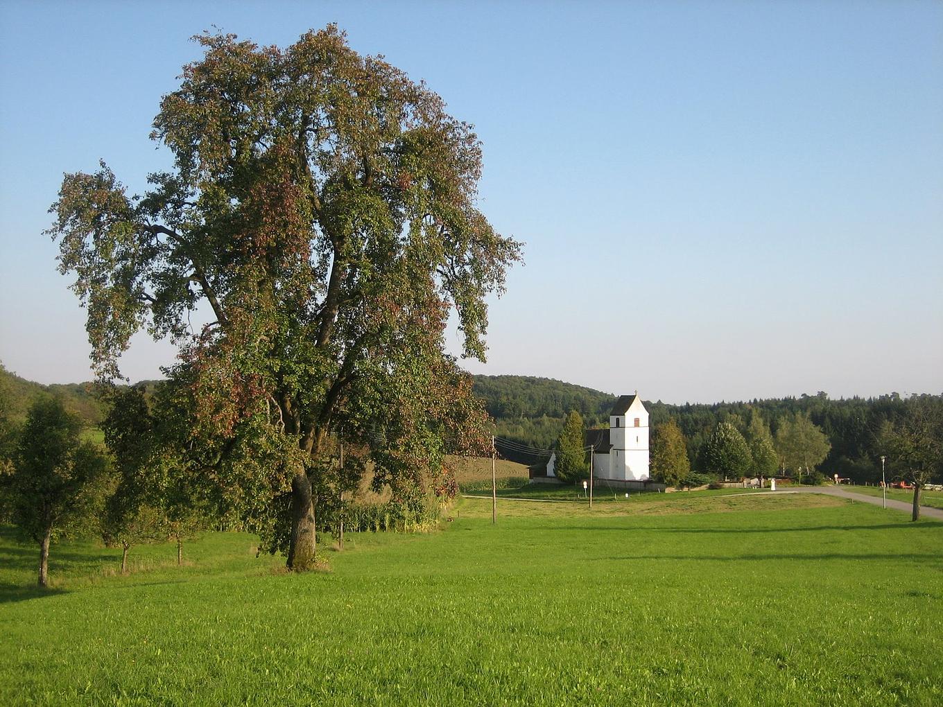 Collagebild 1