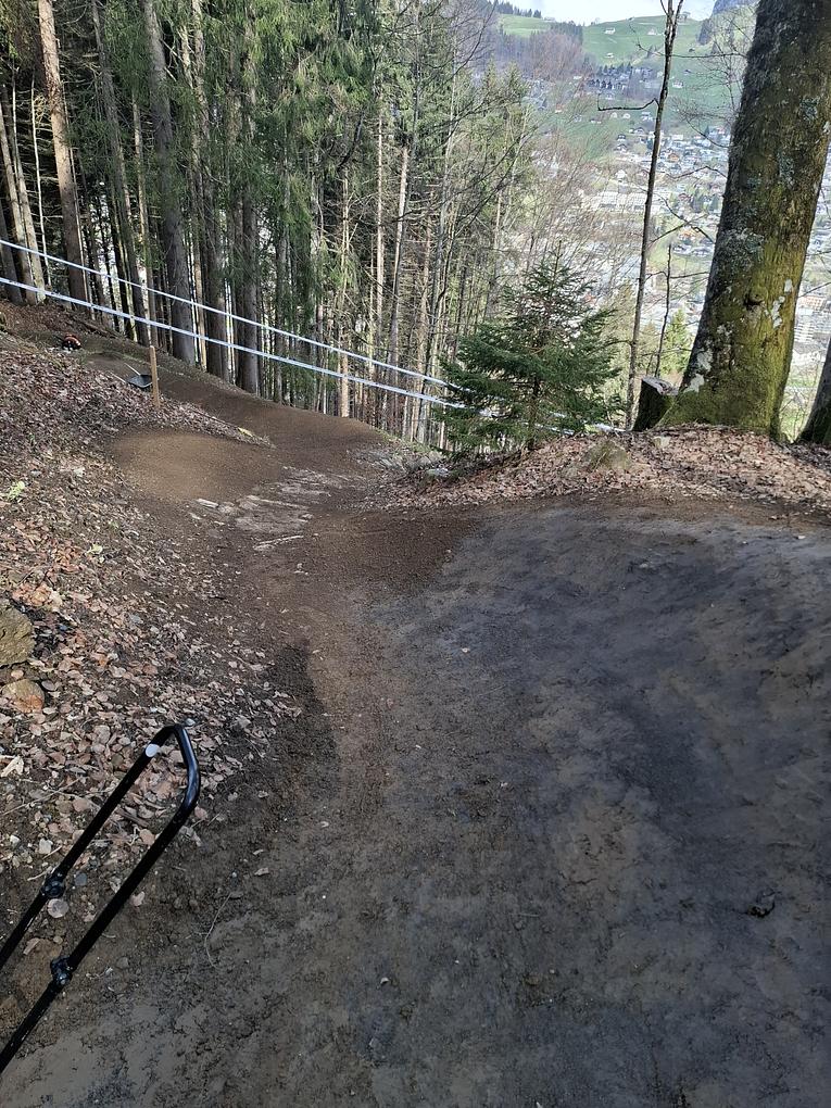 Bild im Zusammenhang mit dem Beitrag