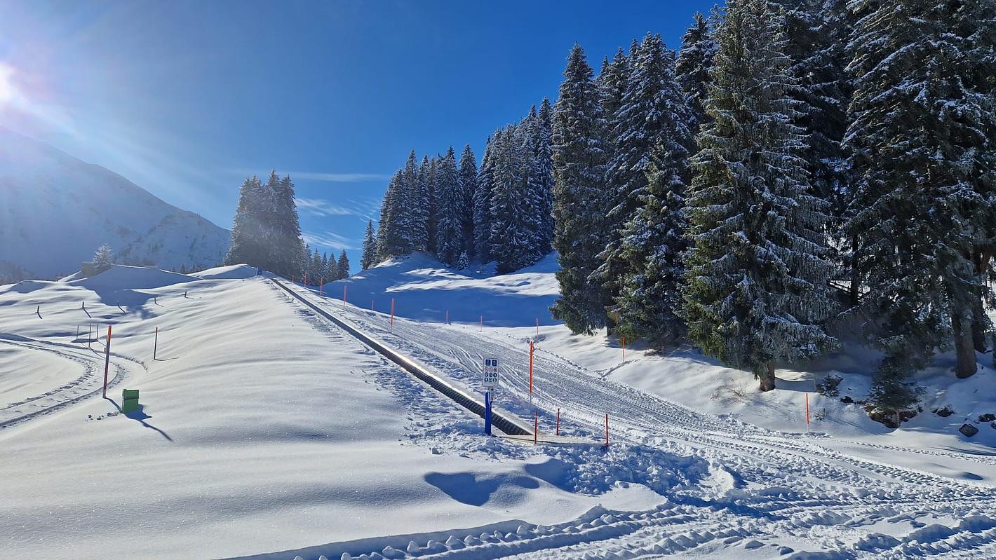 Bild im Zusammenhang mit dem Beitrag