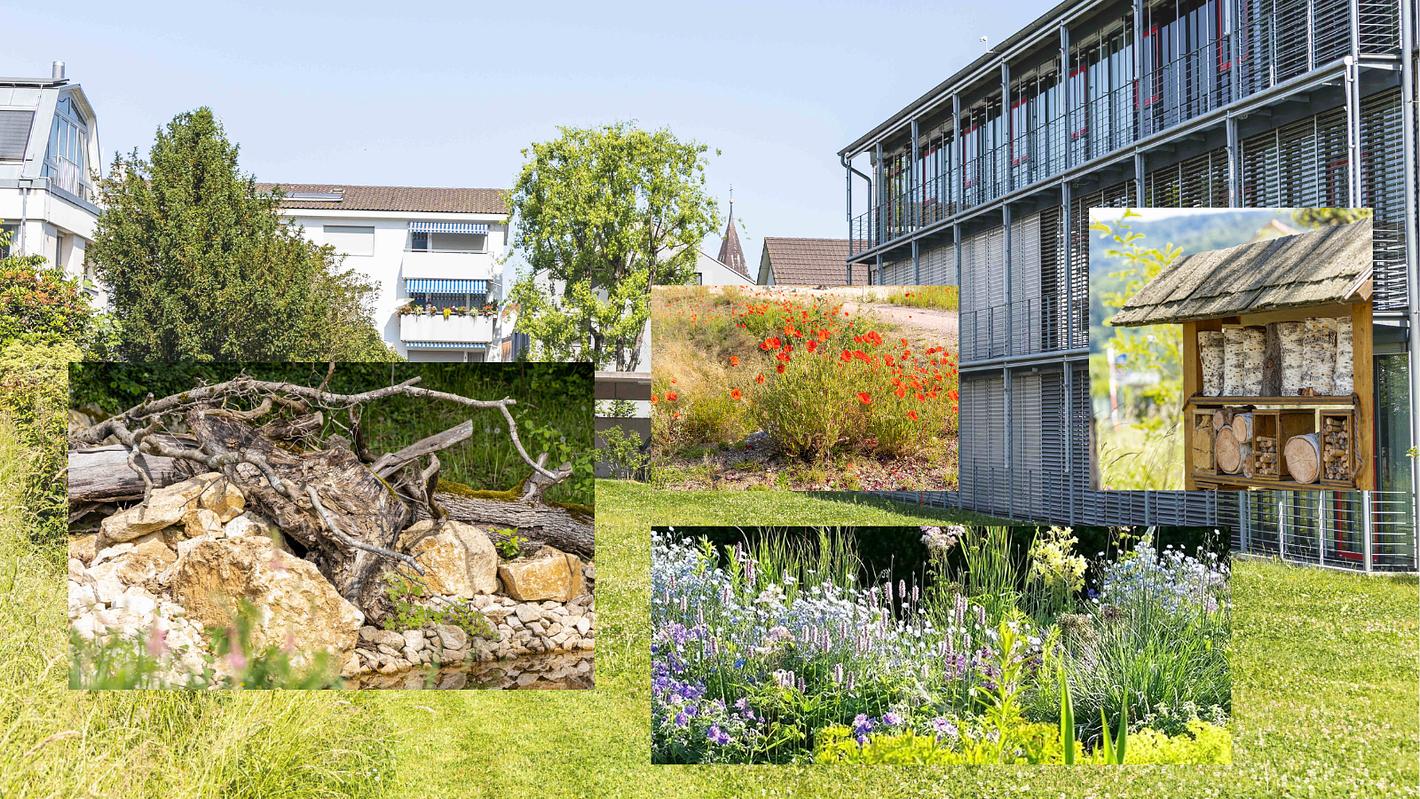 Collagebild 1