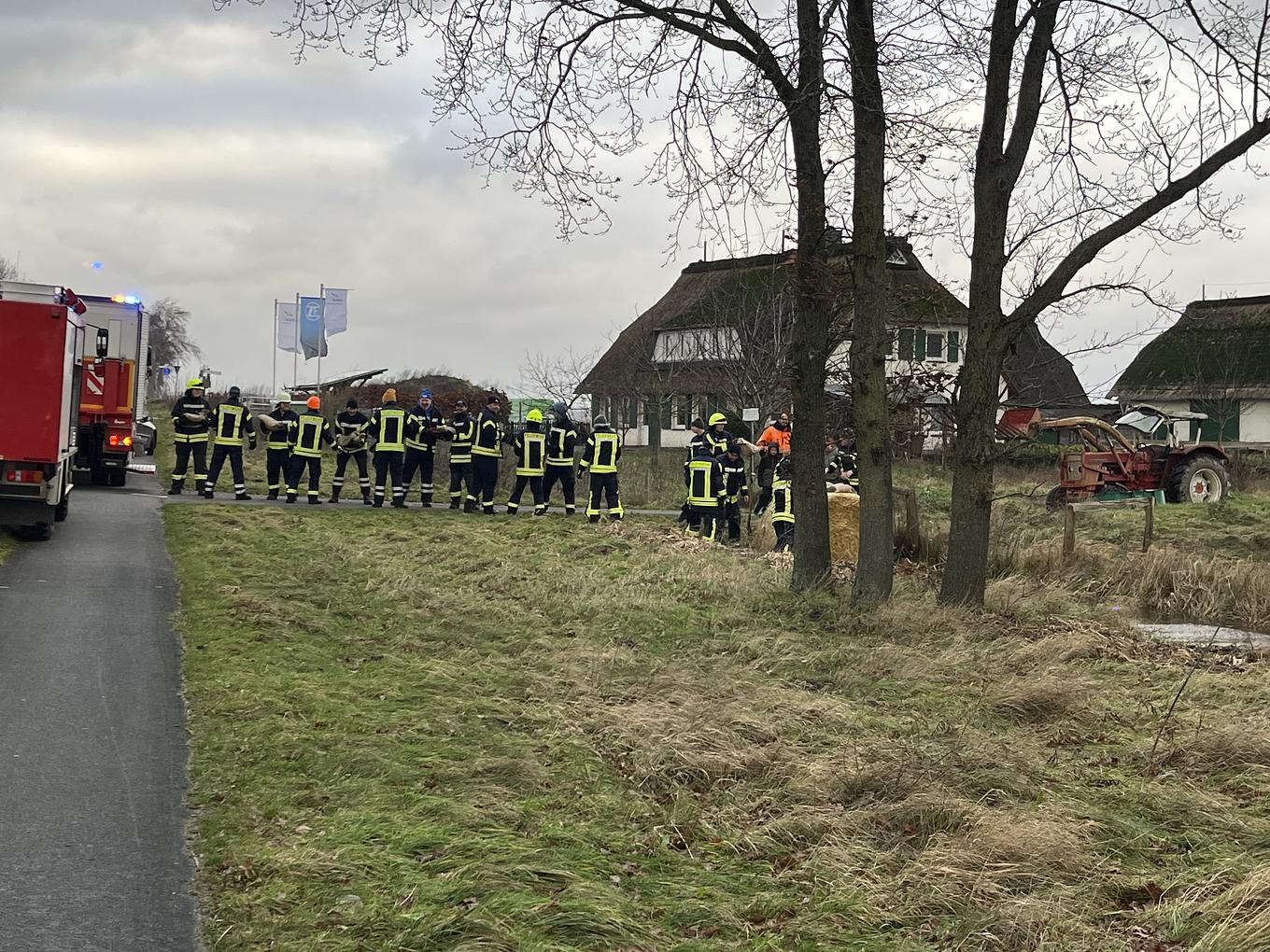 Bild im Zusammenhang mit dem Beitrag
