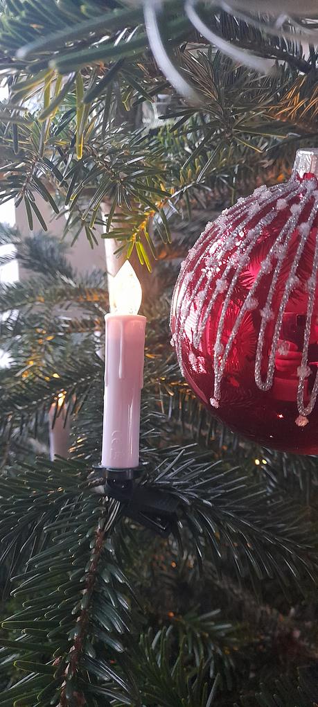 Bild im Zusammenhang mit dem Beitrag