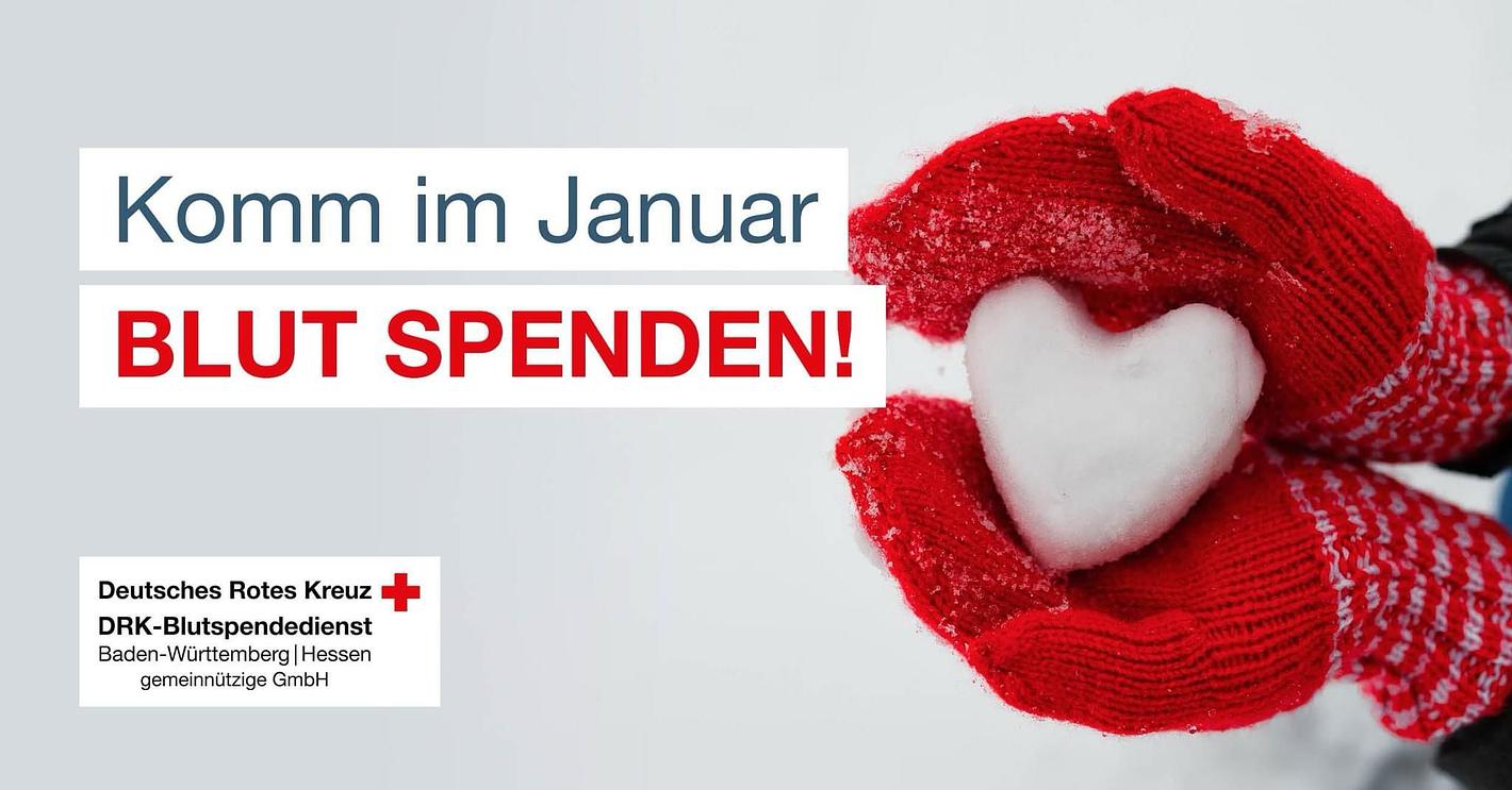 Bild im Zusammenhang mit dem Beitrag