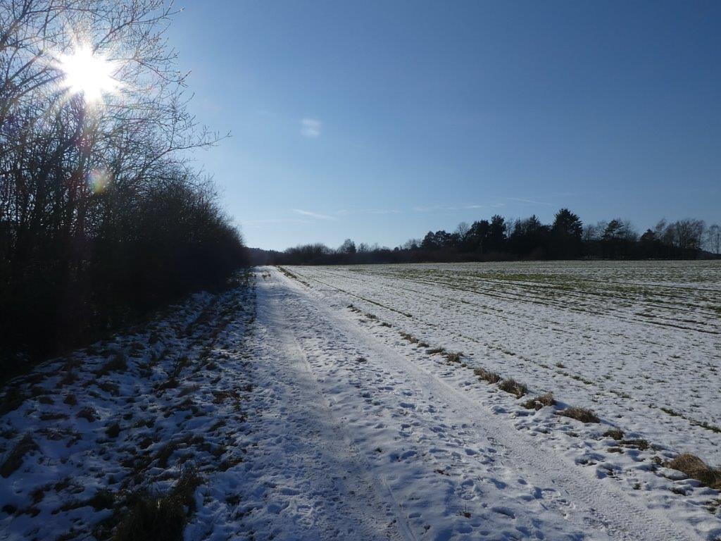 Bild im Zusammenhang mit dem Beitrag